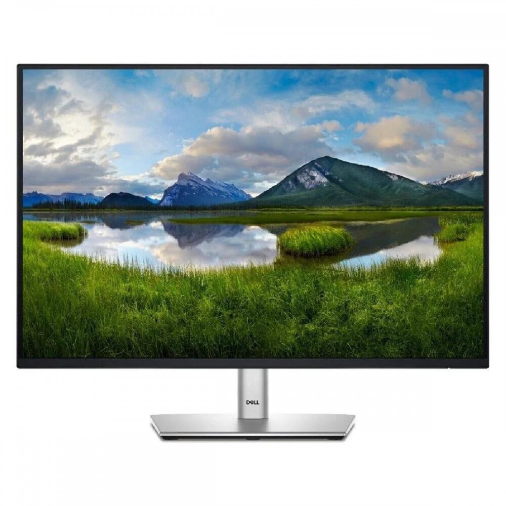 DELL P2425 IPS FHD+ 100Hz Monitor 24