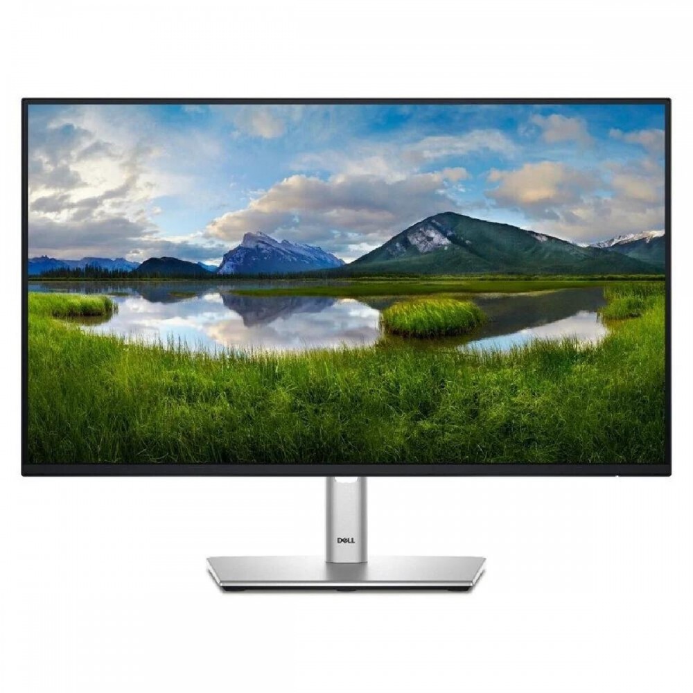 DELL P2425H FHD 100Hz IPS Monitor 24