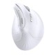 Mouse Wireless 2.4 GHz & Bluetooth UGREEN MU008 White 45759