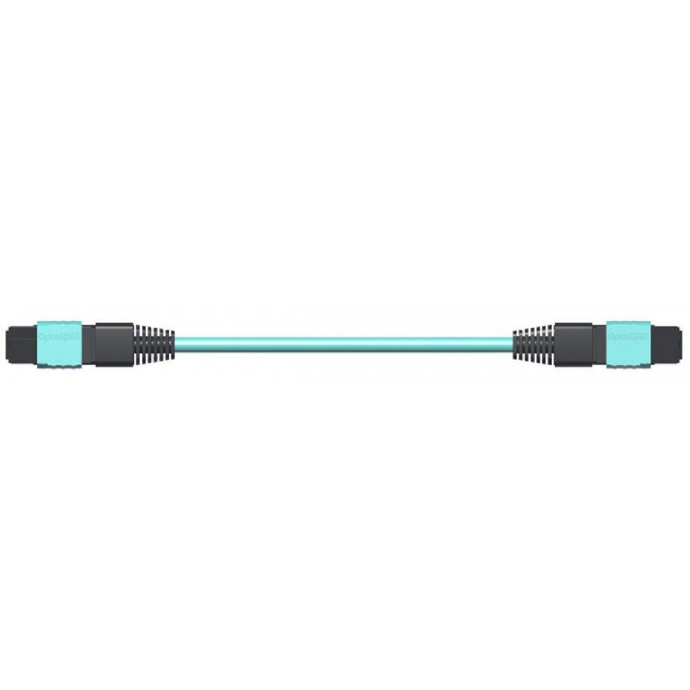 CABLE MTP-MTP OM3 24F 5.5MM 8M
